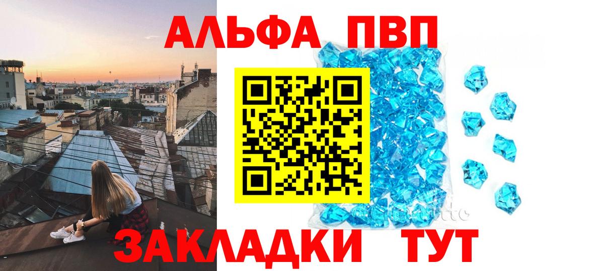 A PVP СК Сыктывкар