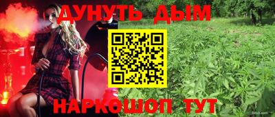 шишки Новодвинск