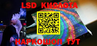 шишки Новодвинск