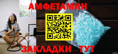 шишки Новодвинск